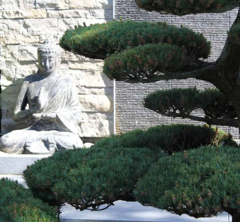 Buddha Bonsai Granit Wasserwand