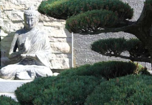 Buddha Bonsai Granit Wasserwand
